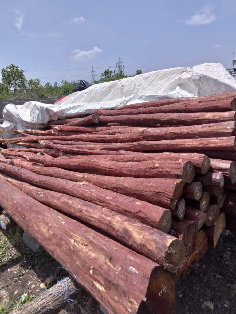 WhatsApp Image 2026-01-01 at 12.13.00 PM