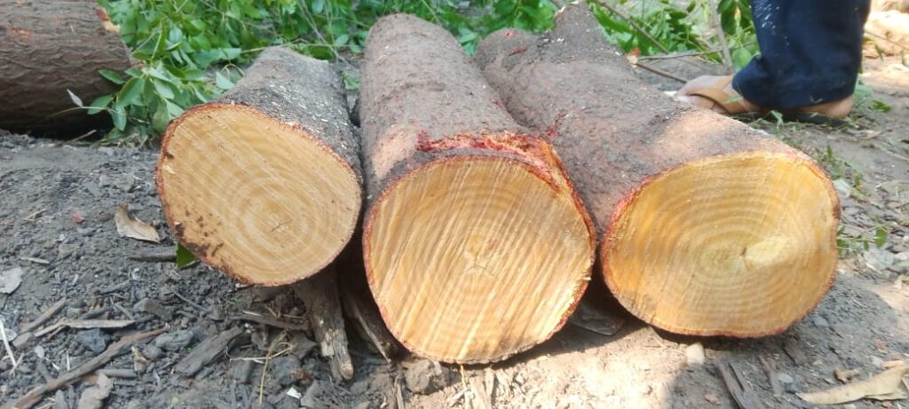 WhatsApp Image 2026-01-01 at 12.14.36 PM