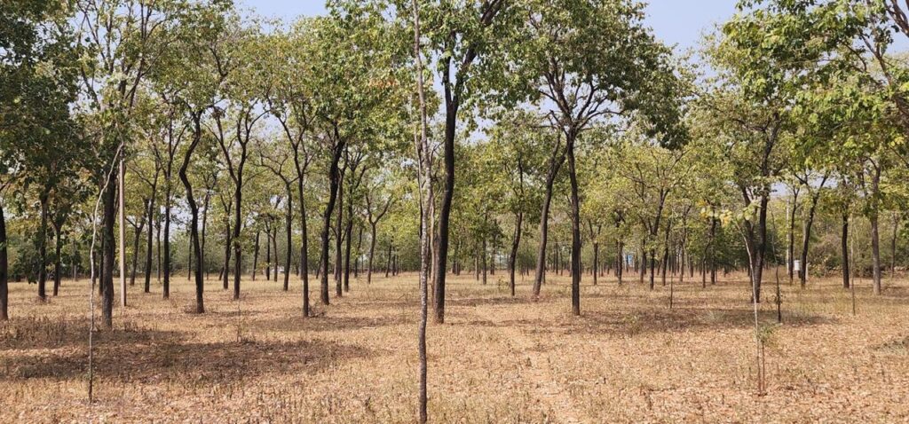 WhatsApp Image 2026-01-01 at 12.19.48 PM